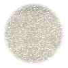 10/o Czech SEED BEADS - Transparent Clear