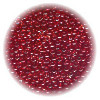10/o Czech SEED BEADS - Transparent Red