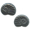 13x17mm Opaque Black Pressed Glass Snail / Nautilus SHELL Beads