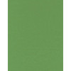 8.5 x 11 Solid *Green* Smooth CARD STOCK Paper