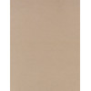 8.5 x 11 Solid *Natural* Smooth CARD STOCK Paper