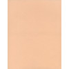 8½ x 11 Solid *Pale Peach* Smooth CARD STOCK Paper