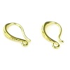 10x22mm Plated Brass EAR HOOKS with Front Loop - Gold