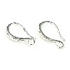 10x22mm Plated Brass EAR HOOKS with Front Loop - Silver