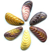 18x38mm Large Mookite Carved SHELL Beads