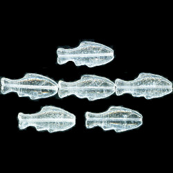 11x24mm Transparent Crystal Pressed Glass Trout / FISH Beads