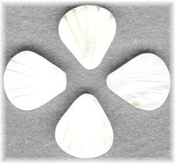 19mm White Mother of Pearl SCALLOP/CLAM SHELL Beads