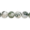 8mm Tree Agate ROUND Beads
