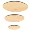 1" to 2 " Assorted  Flat Wooden OVAL Cutouts - Unfinished